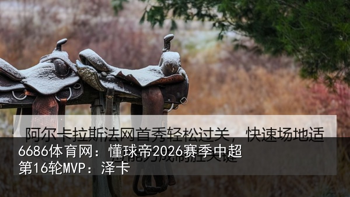 6686体育网：懂球帝2026赛季中超第16轮MVP：泽卡