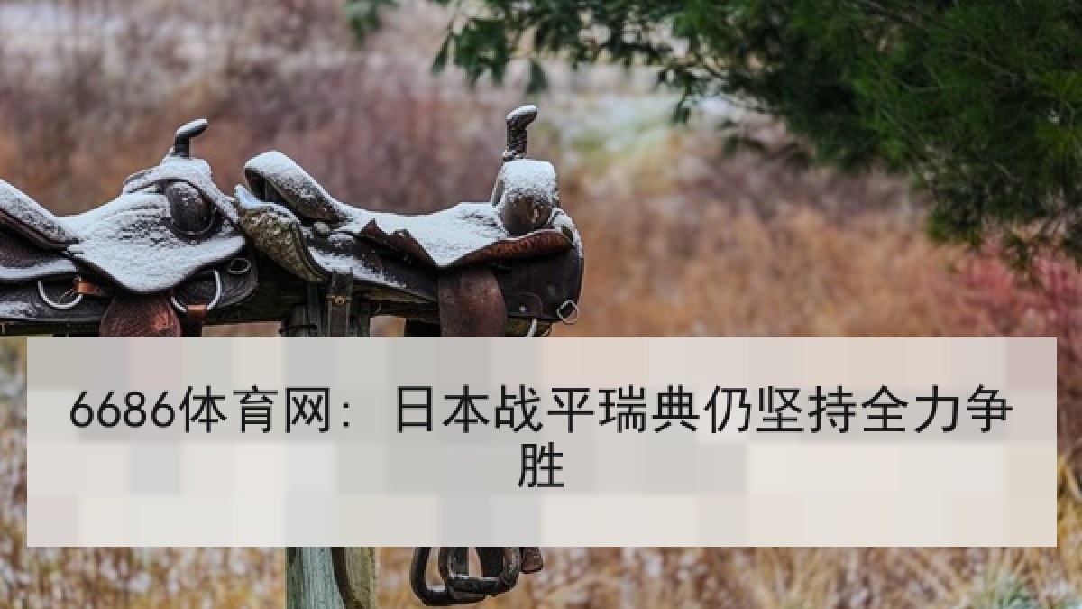 6686体育网: 日本战平瑞典仍坚持全力争胜